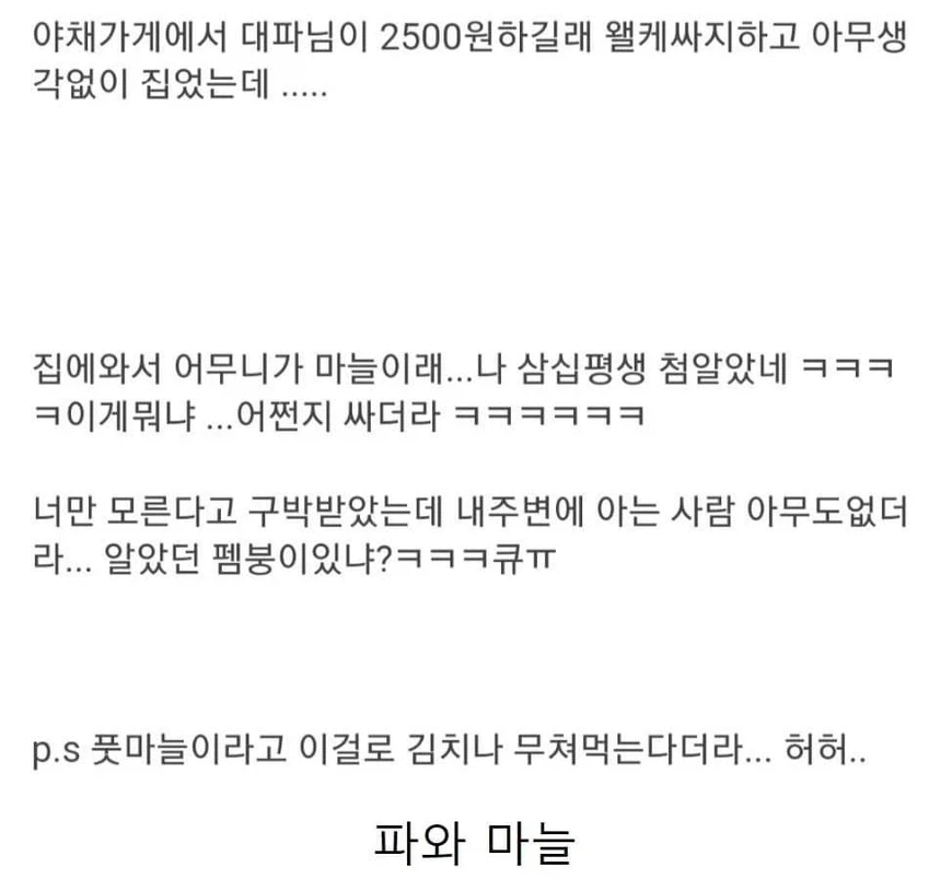 대파인줄 알고 샀는데 대파가 아님.jpg_2.webp