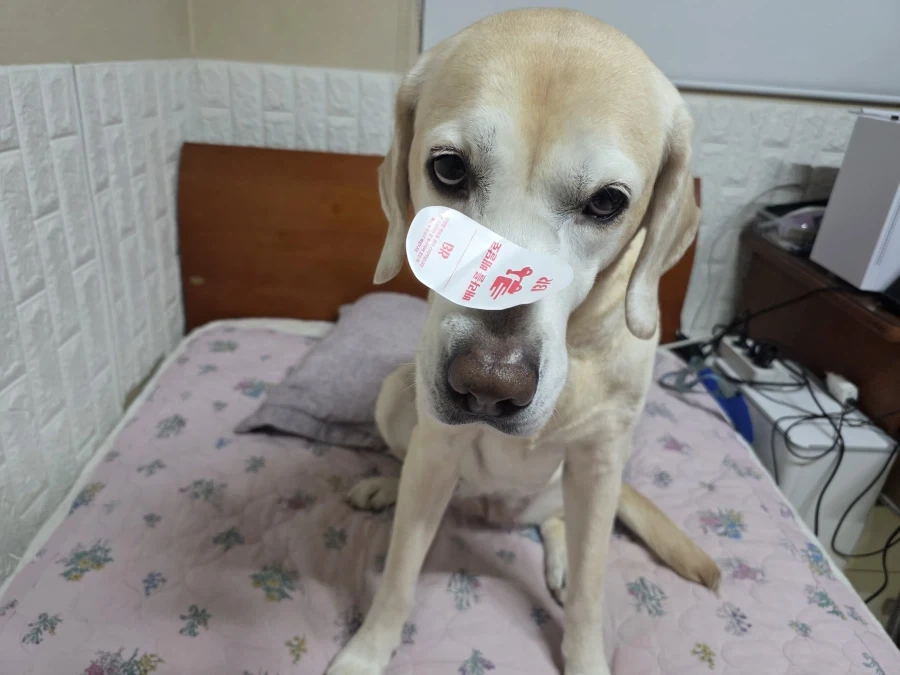 자, 너희가 원하던 사진이다._5.webp