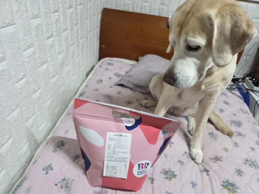 자, 너희가 원하던 사진이다._6.webp