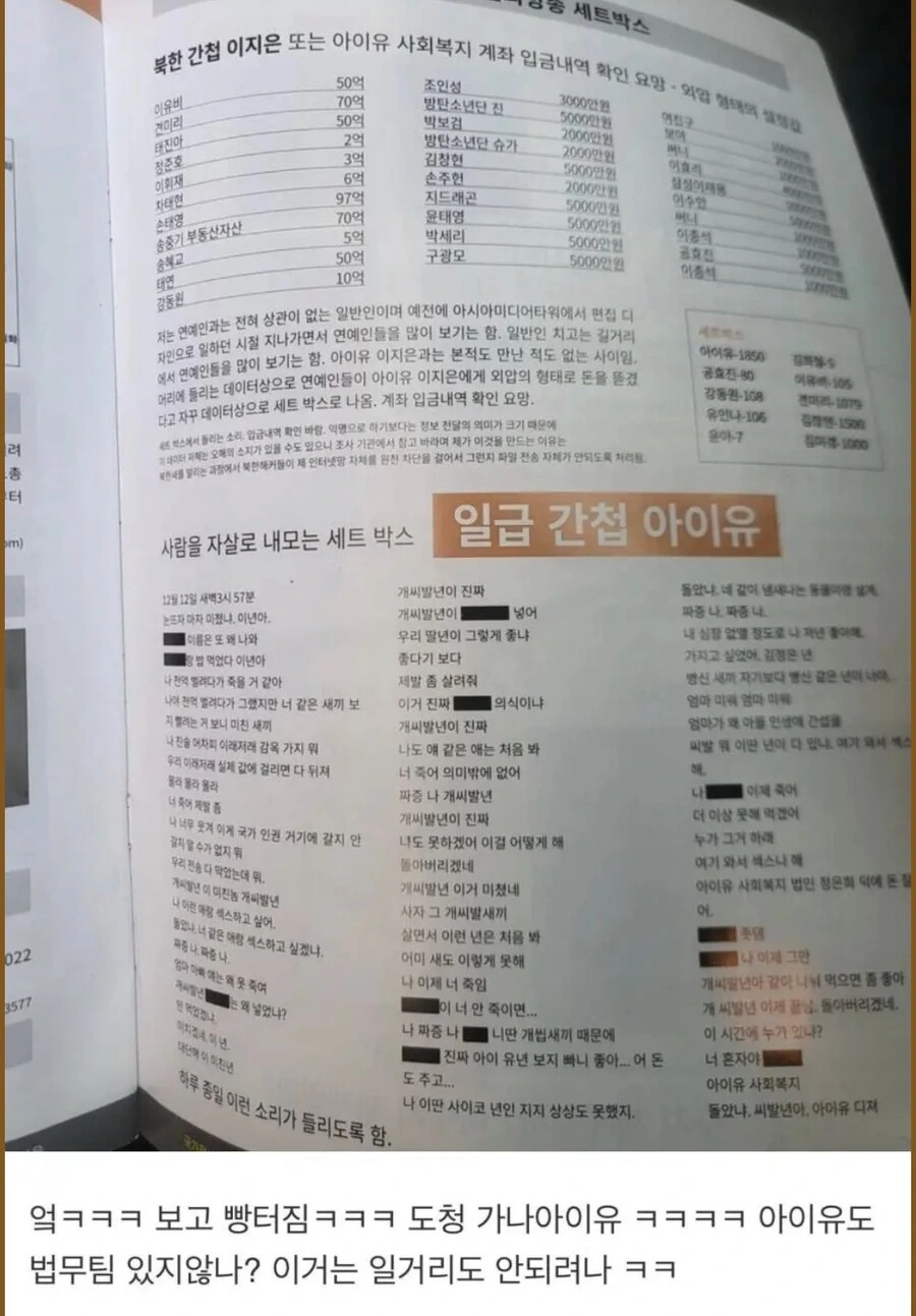 아이유은 간첩이다!_4.jpg