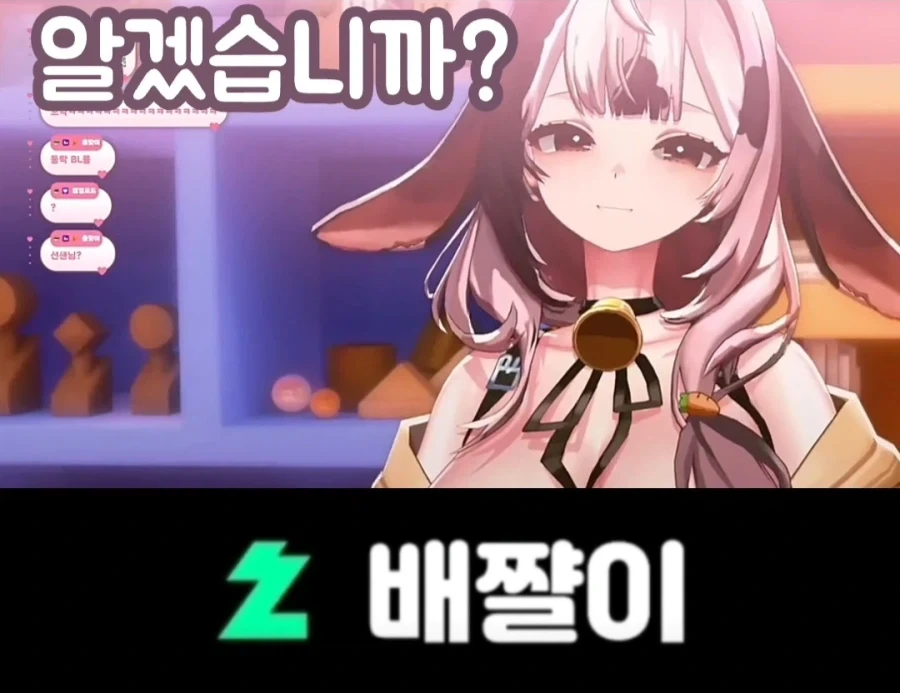 여성 방송인