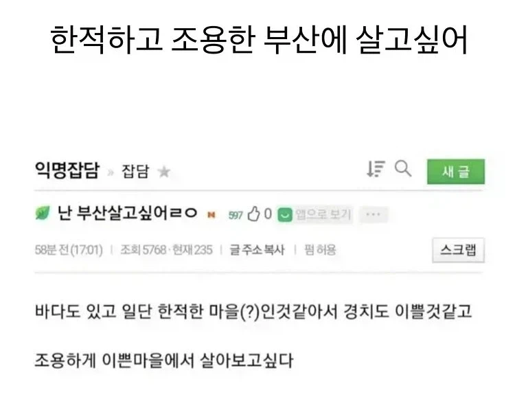??? : 한적하고 조용한 부산에 살고 싶다_1.webp