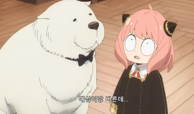 5.png