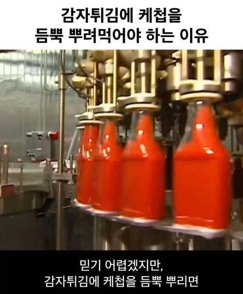 감자튀김에 케첩을 듬뿍 뿌려먹어야 하는 이유_1.webp