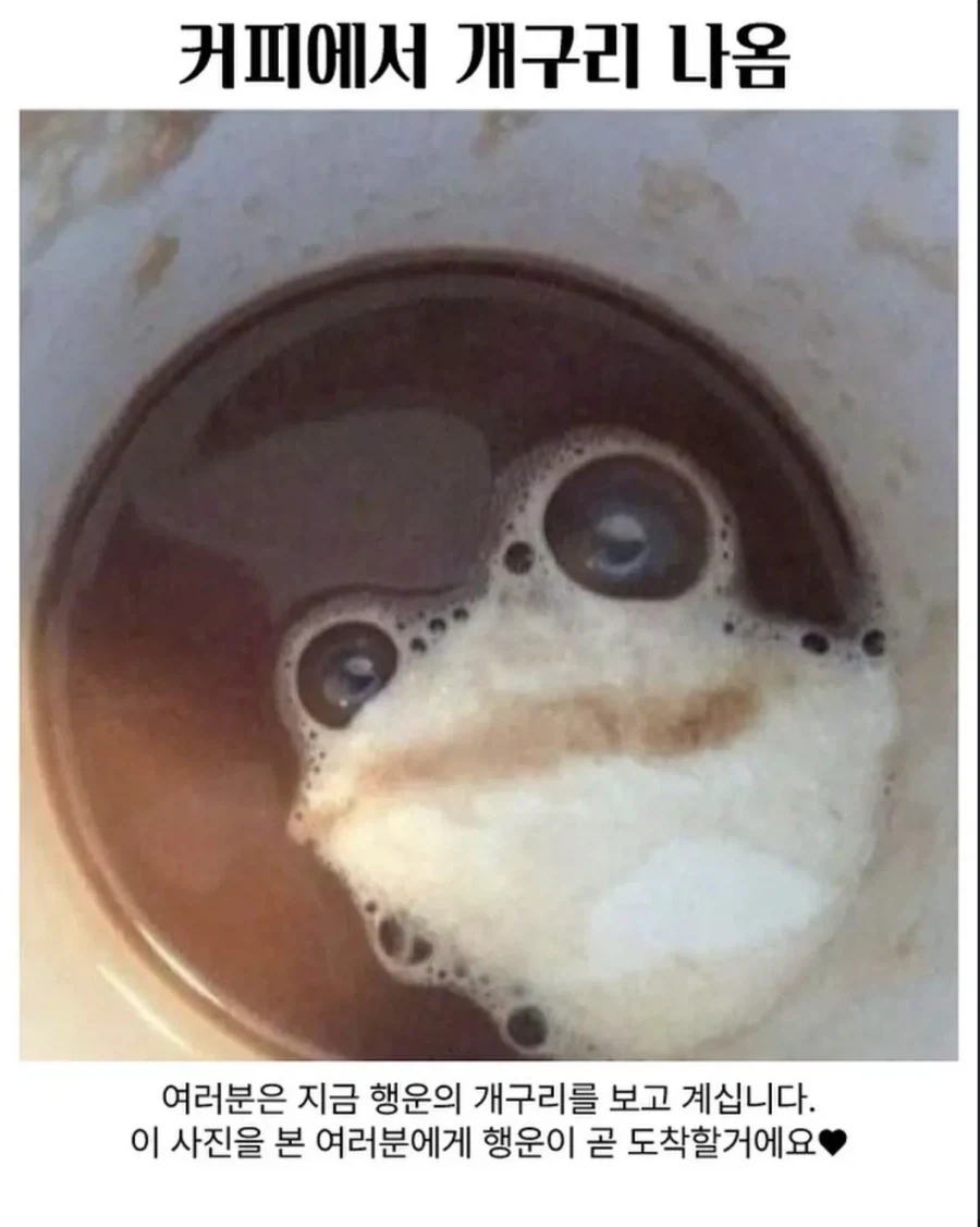 커피에서 개구리 나옴ㅁㅊ_1.webp