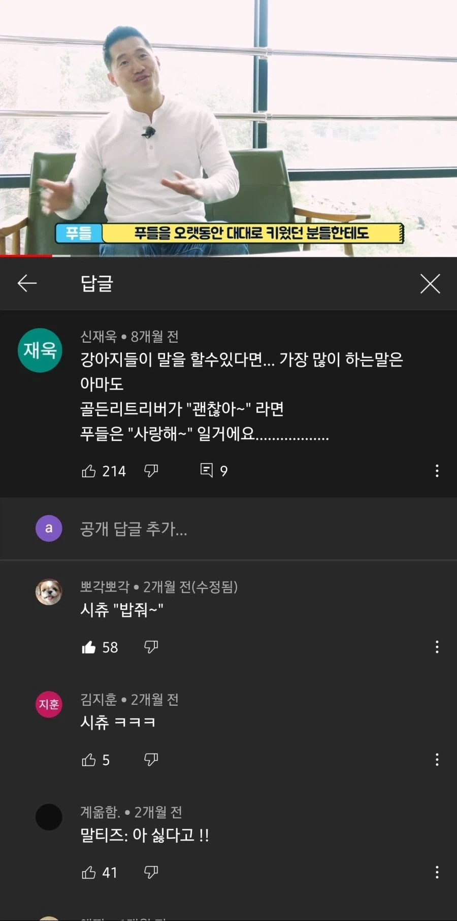 [멍멍]