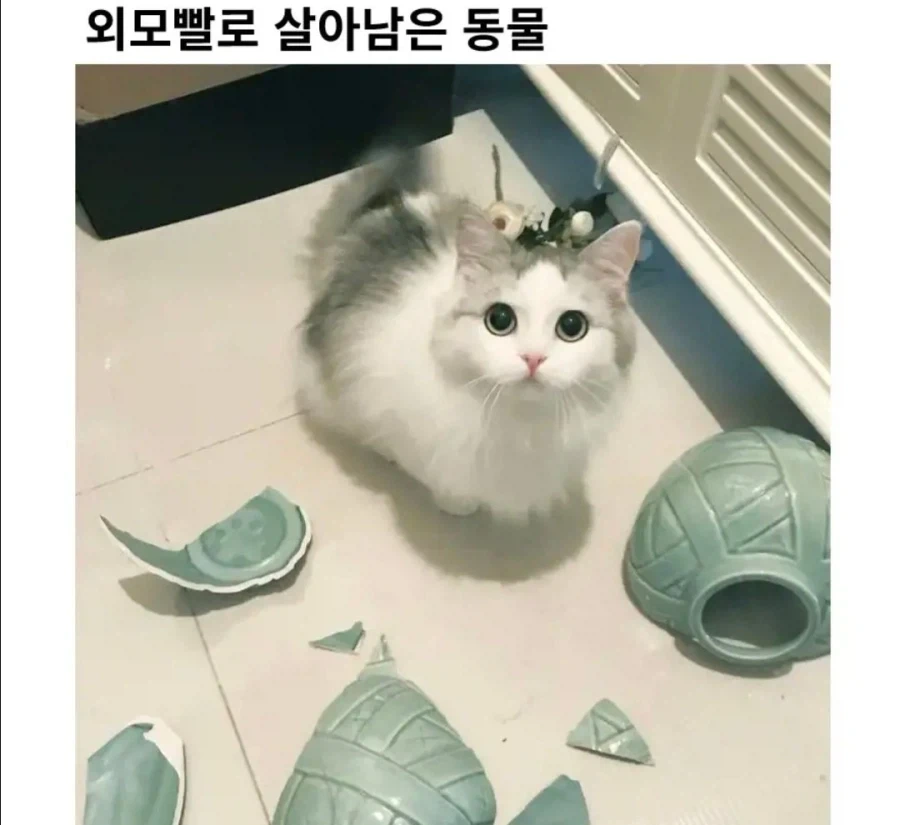 내면의 아름다움은 얼마나 하찮은 것인가_1.webp