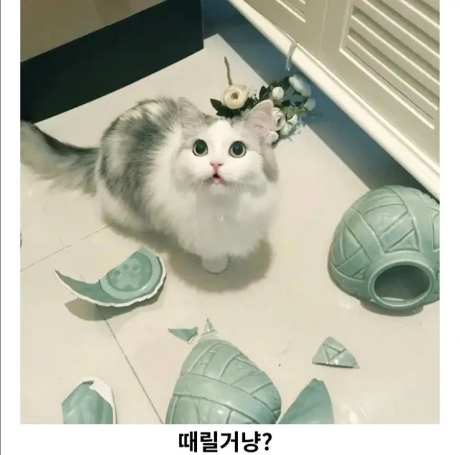 내면의 아름다움은 얼마나 하찮은 것인가_2.webp