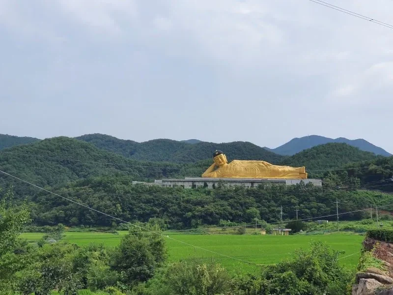 의외로 한국에 있다는 세계 최대 규모의 와불상_8.webp