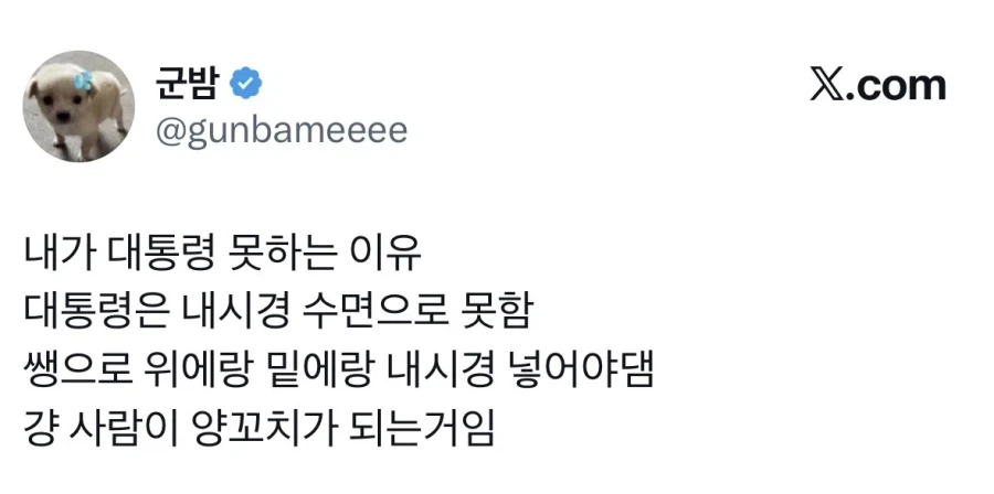 대통령 못하는 이유.jpg_1.webp