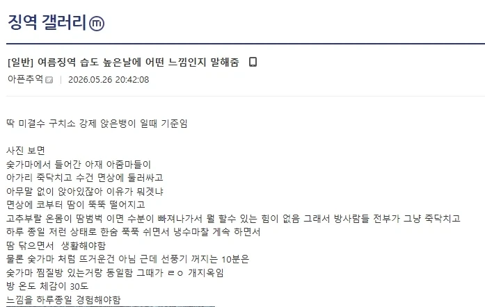 김세의 여름에 구속되서 큰일난 이유.jpg_1.webp