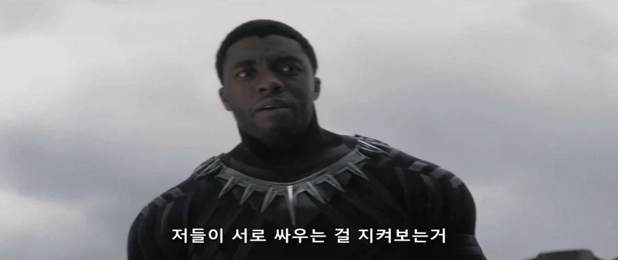캡아 시빌워에서의 승리자_5.webp