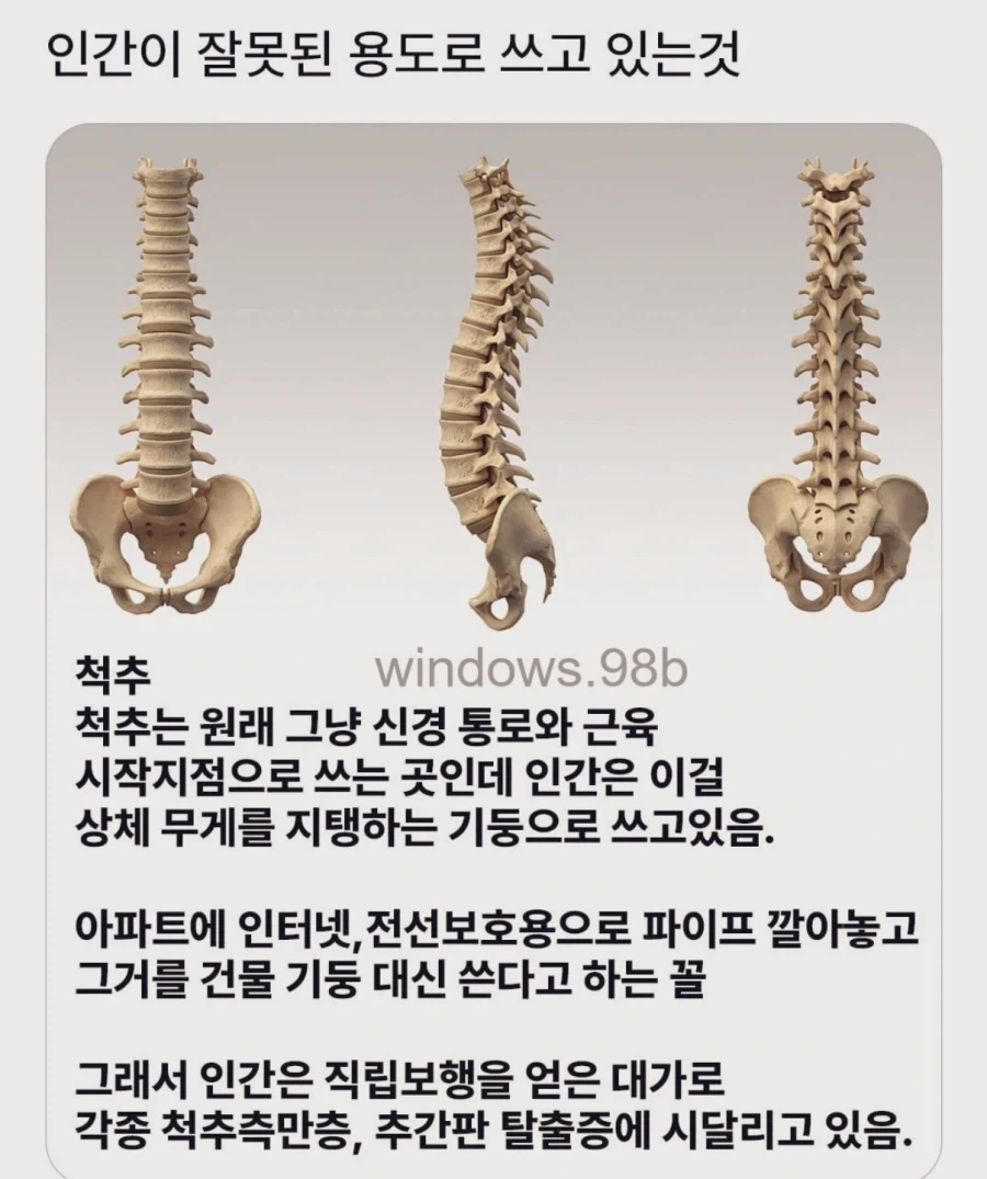 인간이 잘못된 용도로 쓰고 있는 것.jpg_1.webp