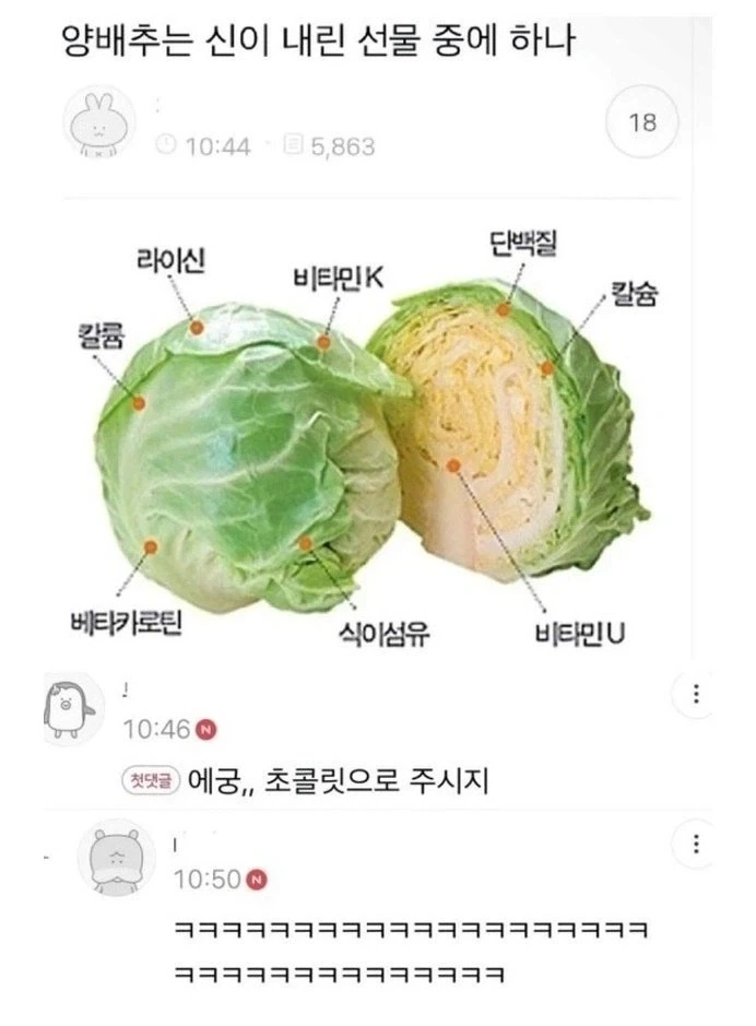 양배추는 신이 내린 선물 중에 하나....JPG_1.webp