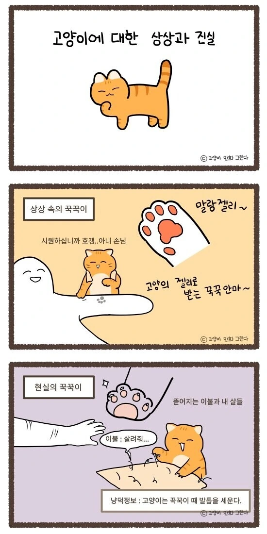 manga_1066686_001.webp