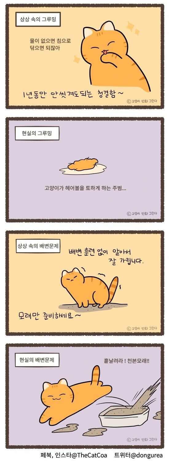 manga_1066686_002.webp