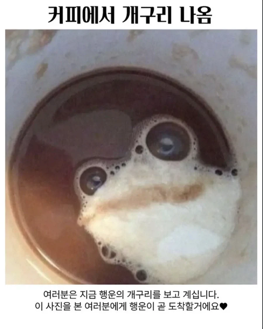 커피에서 개구리 나옴.jpg_1.webp