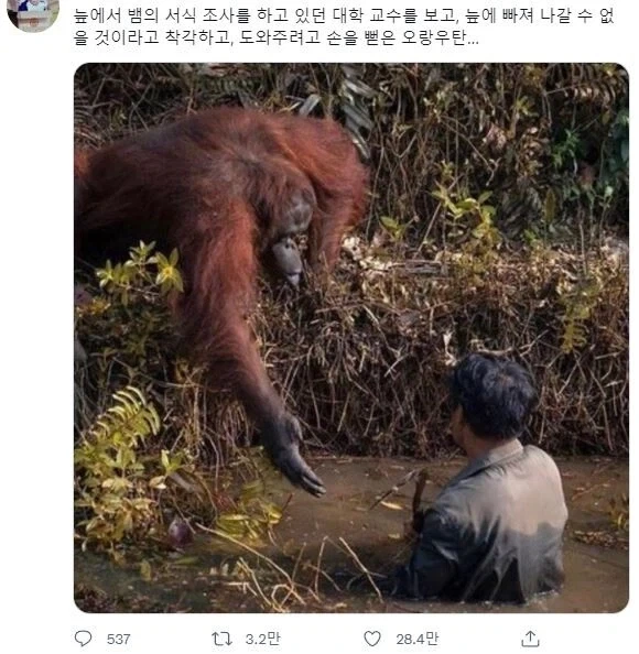 인간 거기 비얌 나온다_1.webp