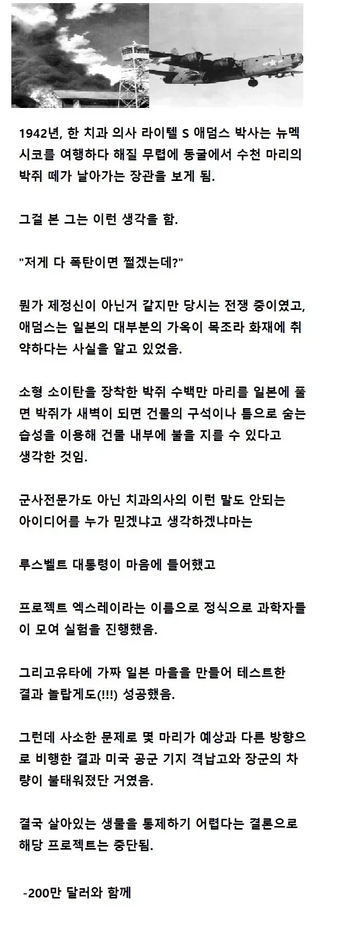 박쥐폭탄 개발 이야기_1.webp