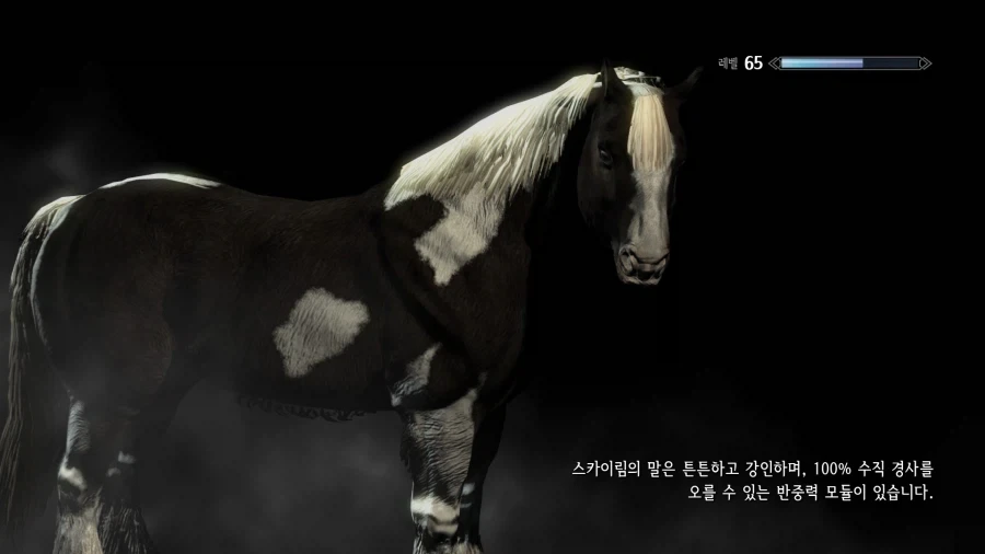 뭔가 좀 이상한 게임의 로딩툴팁_1.webp