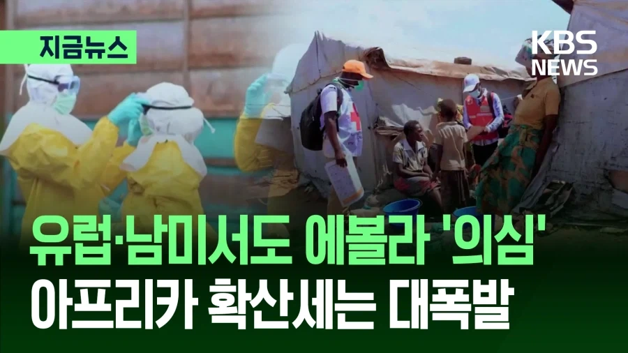 아프리카 갔다온 사람들이 걸린다는 병.jpg_1.webp
