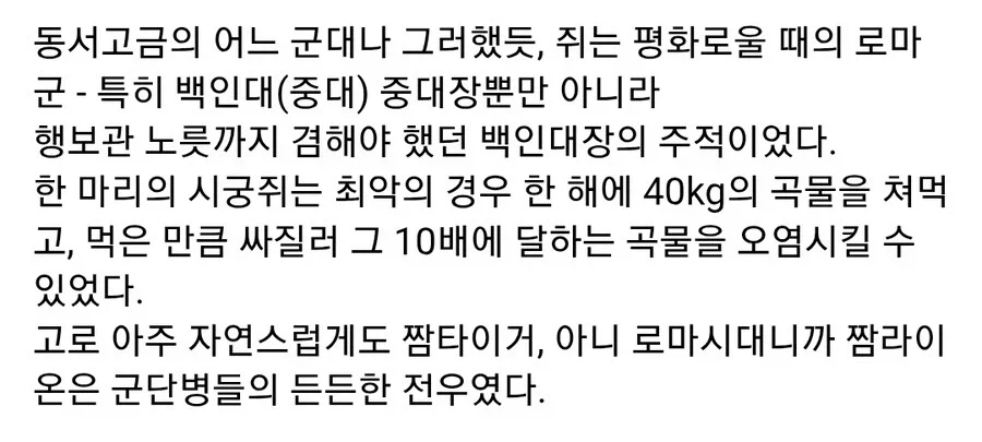 고대 로마군과 고양이 이야기_3.webp