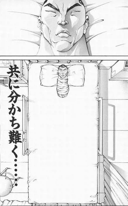 골절을 당한 새끼고양이를 치료한 여성_2.webp