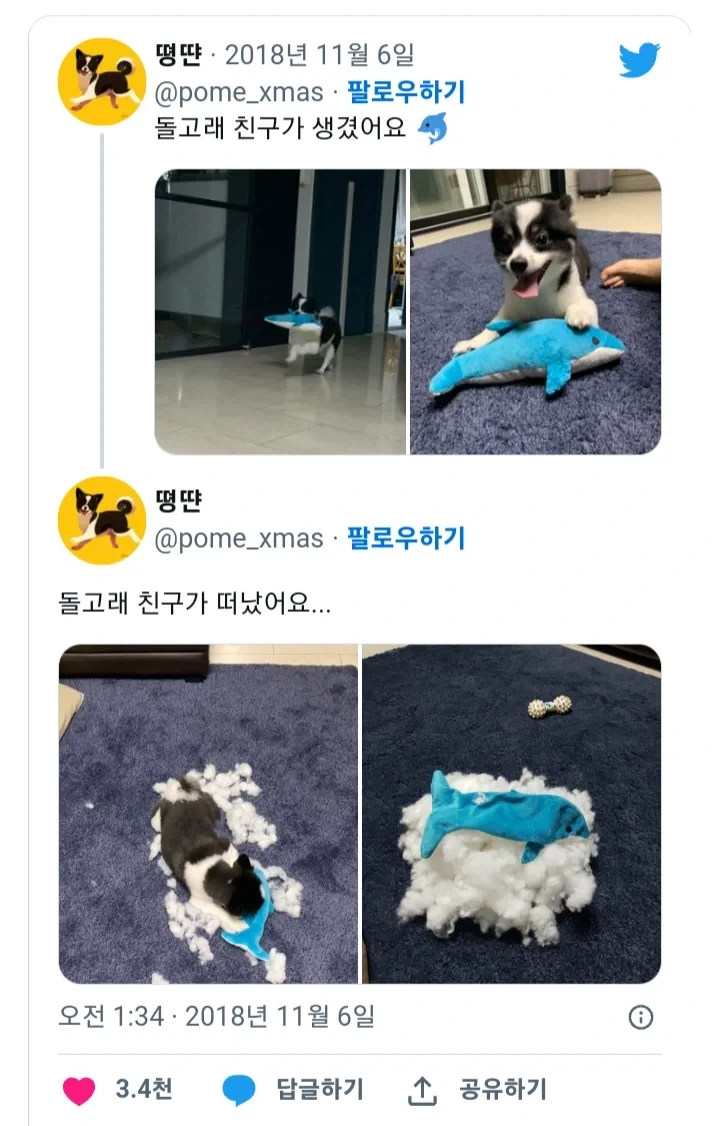 돌고래 친구가 생겼어요_1.webp