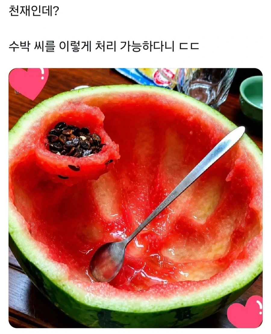 천재가 수박 씨 처리하는 방법_1.webp