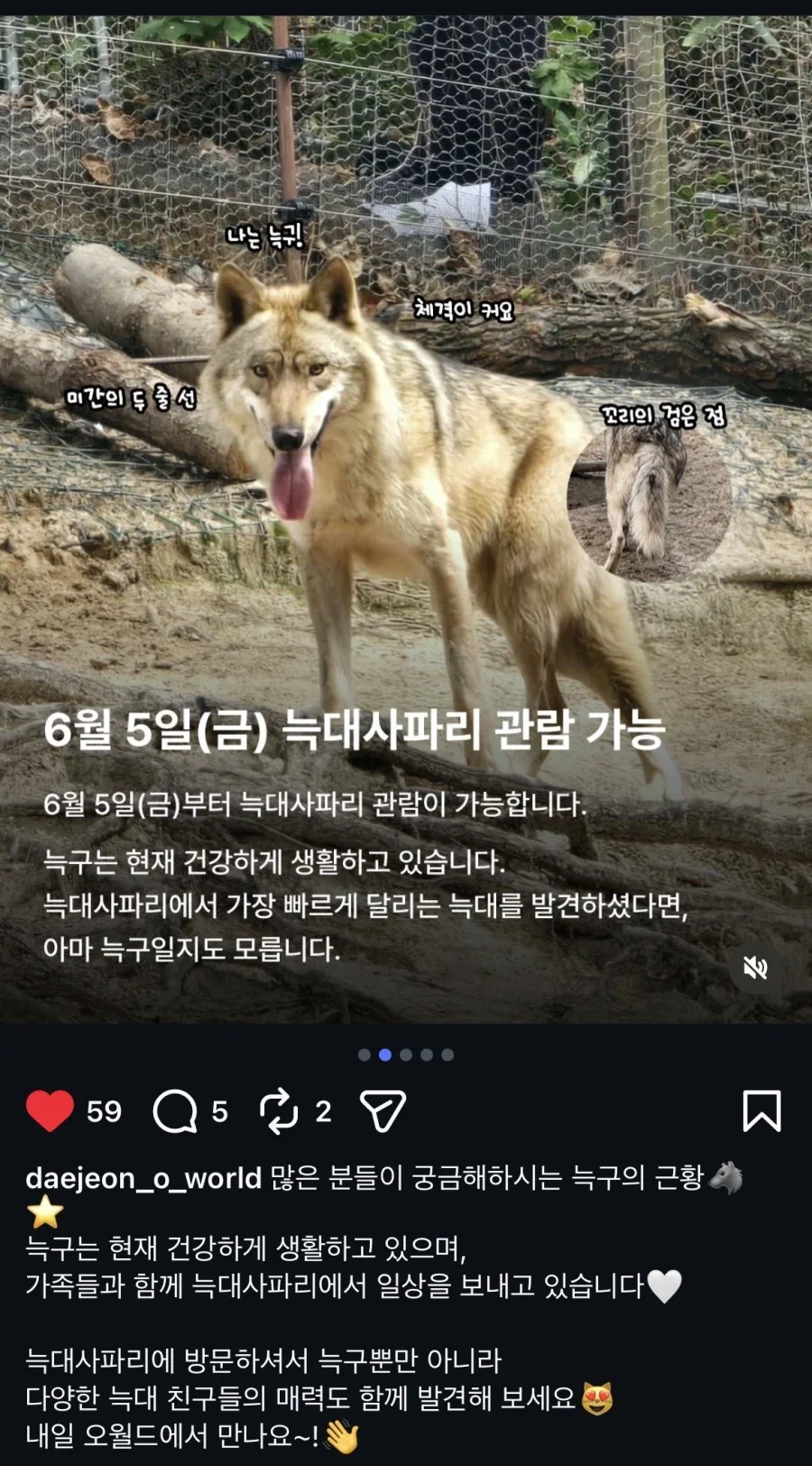 대전 오월드 늑구 공개_1.webp