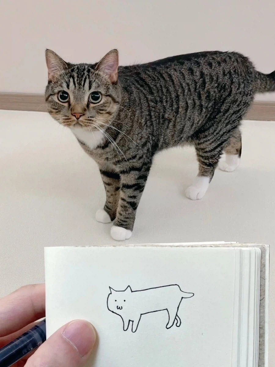 자기 고양이 그리는 집사..._1.webp