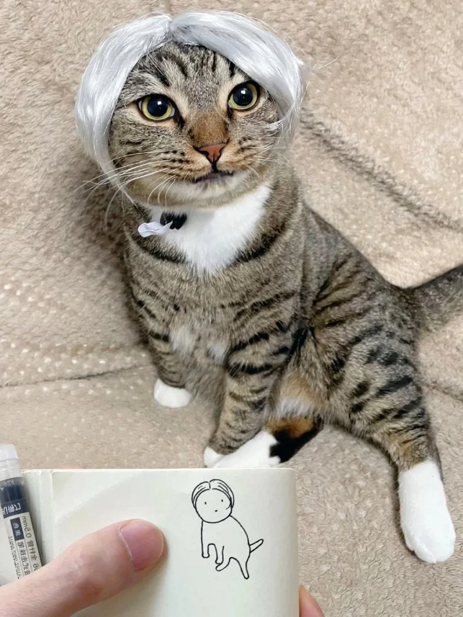 자기 고양이 그리는 집사..._4.webp