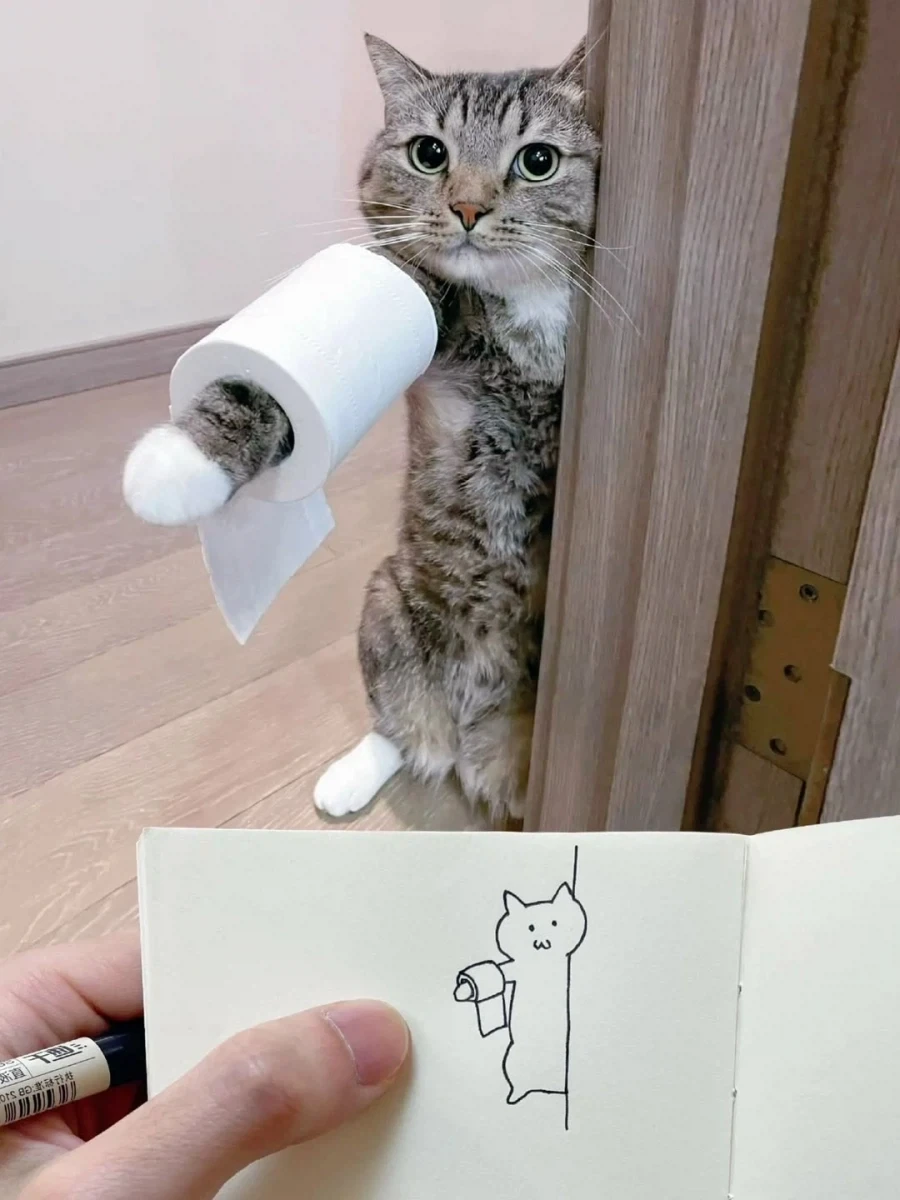 자기 고양이 그리는 집사..._5.webp