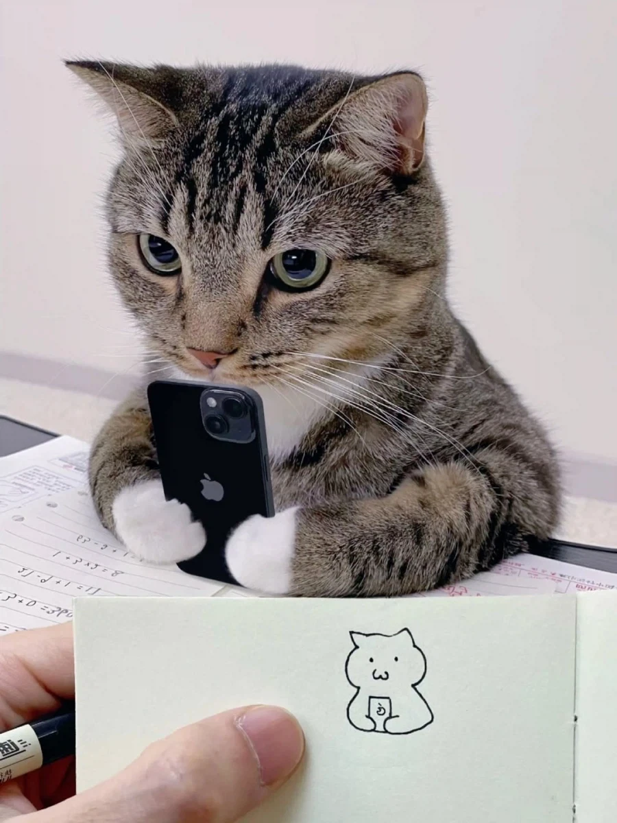 자기 고양이 그리는 집사..._6.webp