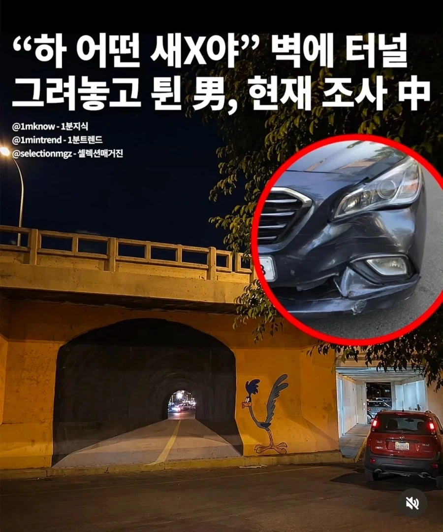 광기의 그래피티류 甲_1.webp