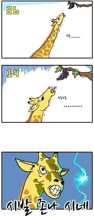 manga_1653094_003.webp
