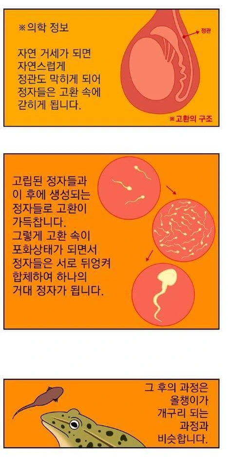 manga_1663195_002.webp