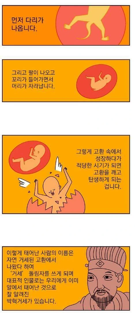 manga_1663195_003.webp