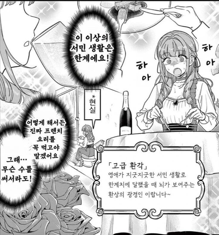 부자들에게만 보이는 환각_1.jpg
