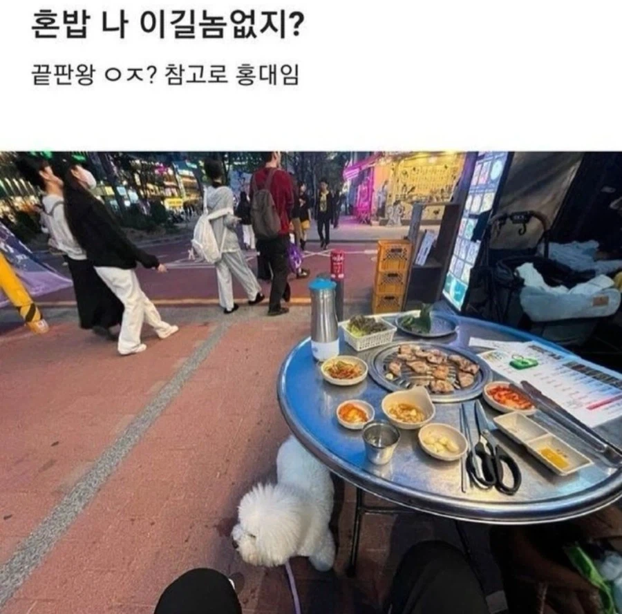 혼밥왕?_1.webp