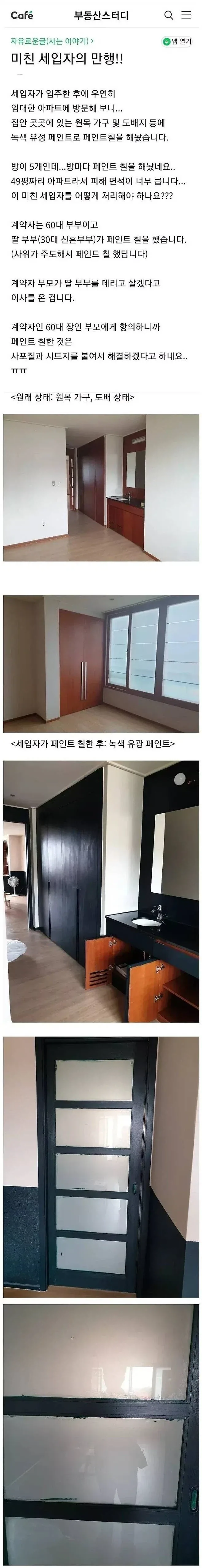 49평 아파트 내부에 페인트칠을 한 세입자_1.webp
