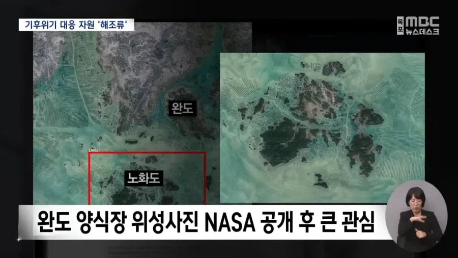 전세계가 주목하는 한국섬_5.webp