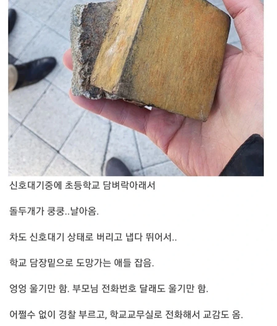 마른하늘에 돌벼락.jpg_1.webp