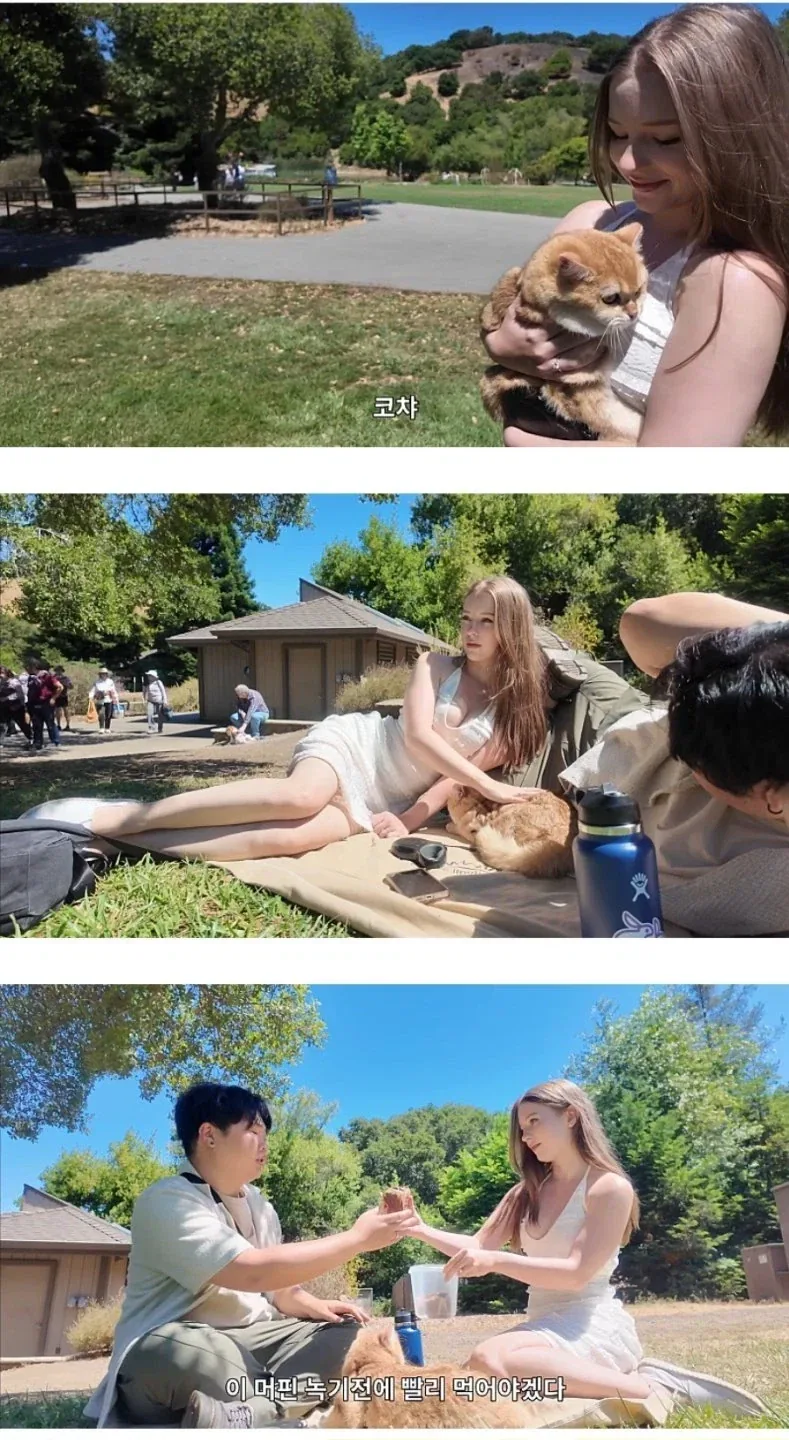 악플이 심하게 달린다는 유튜브 영상_1.webp