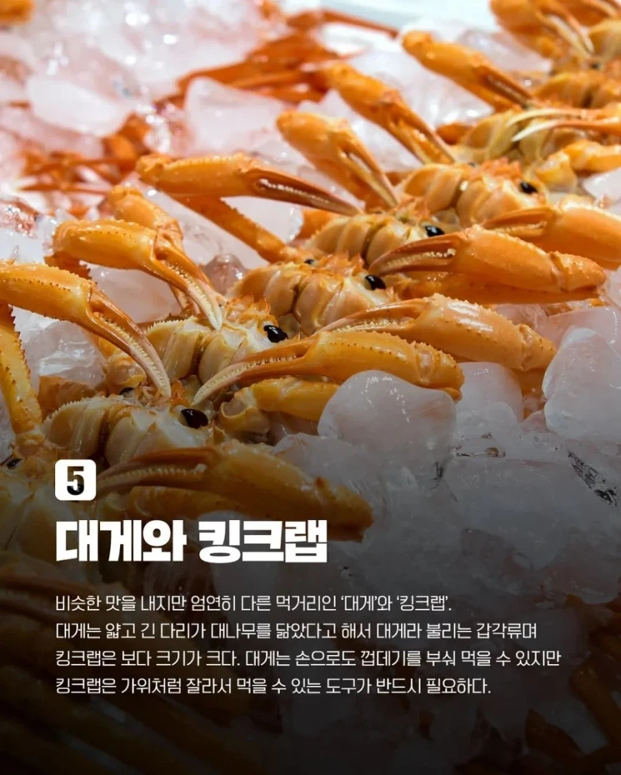 비슷하지만 다른 음식 7가지.jpg_5.webp