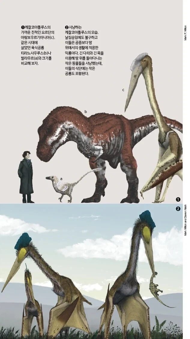 귀신이 무서울 때 꿀팁.jpg_2.webp