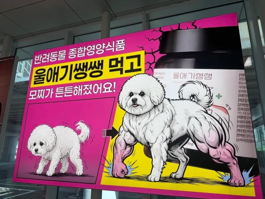 고민되는 반려동물 영양제_1.webp