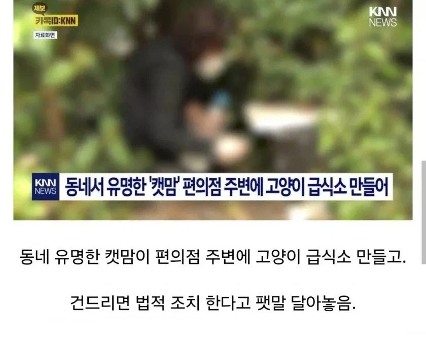 주민간의 총력전으로 길고양이만 신난 상황.jpg_1.webp