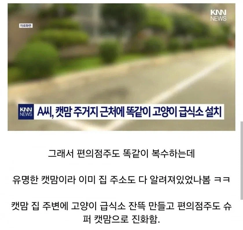 주민간의 총력전으로 길고양이만 신난 상황.jpg_3.webp