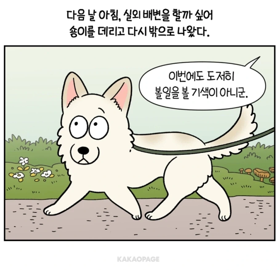 배변훈련이 안된 성견에게 가르치는 법_1.webp